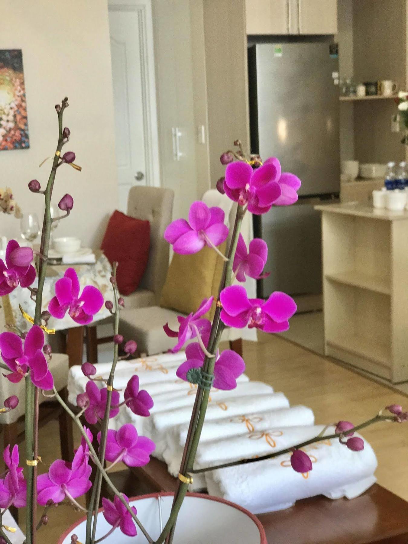 דה לאט Anada Hotel Suites מראה חיצוני תמונה